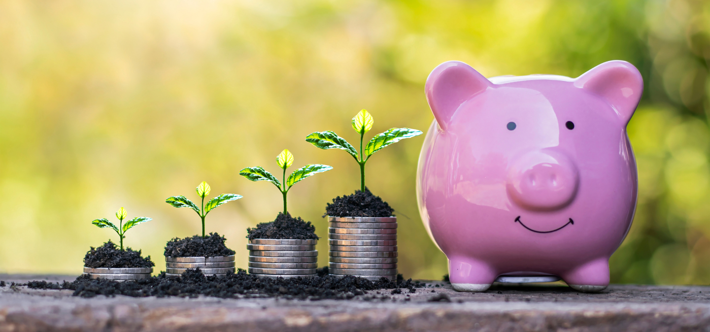 Plants growing out of stacks and coins next to a piggy bank