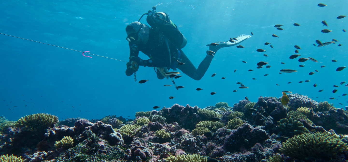 Scuba Diver over reef